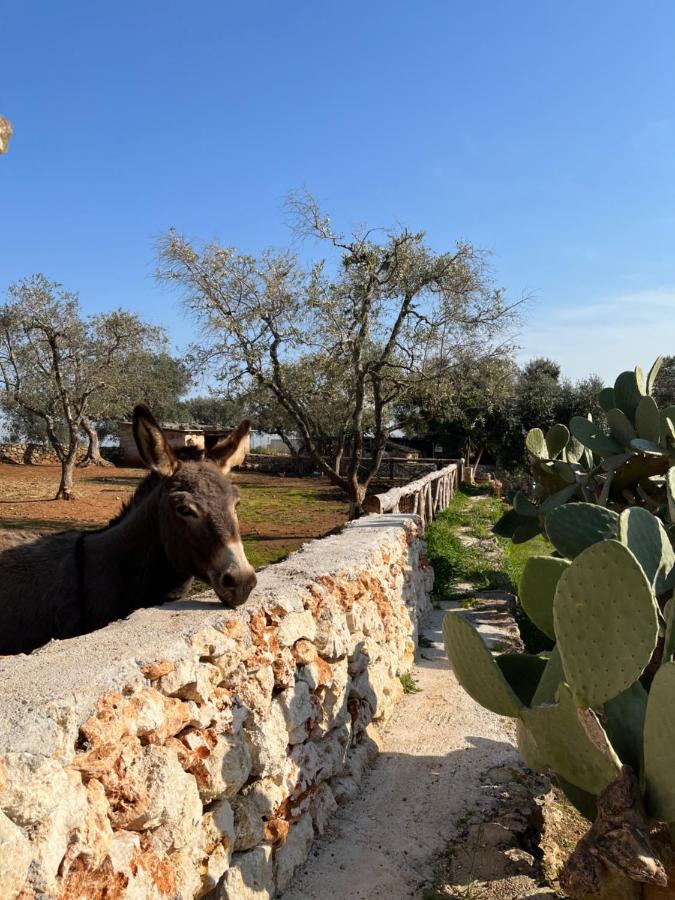 Trulli Dell'Angelo Villa Specchiolla Exteriör bild